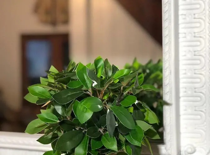 빌라 Smaragdi-despoina *