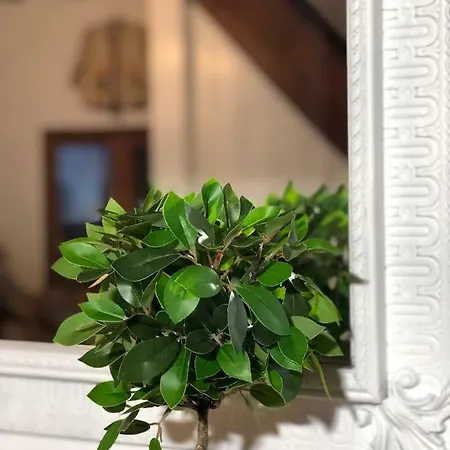 Villa Smaragdi-despoina *